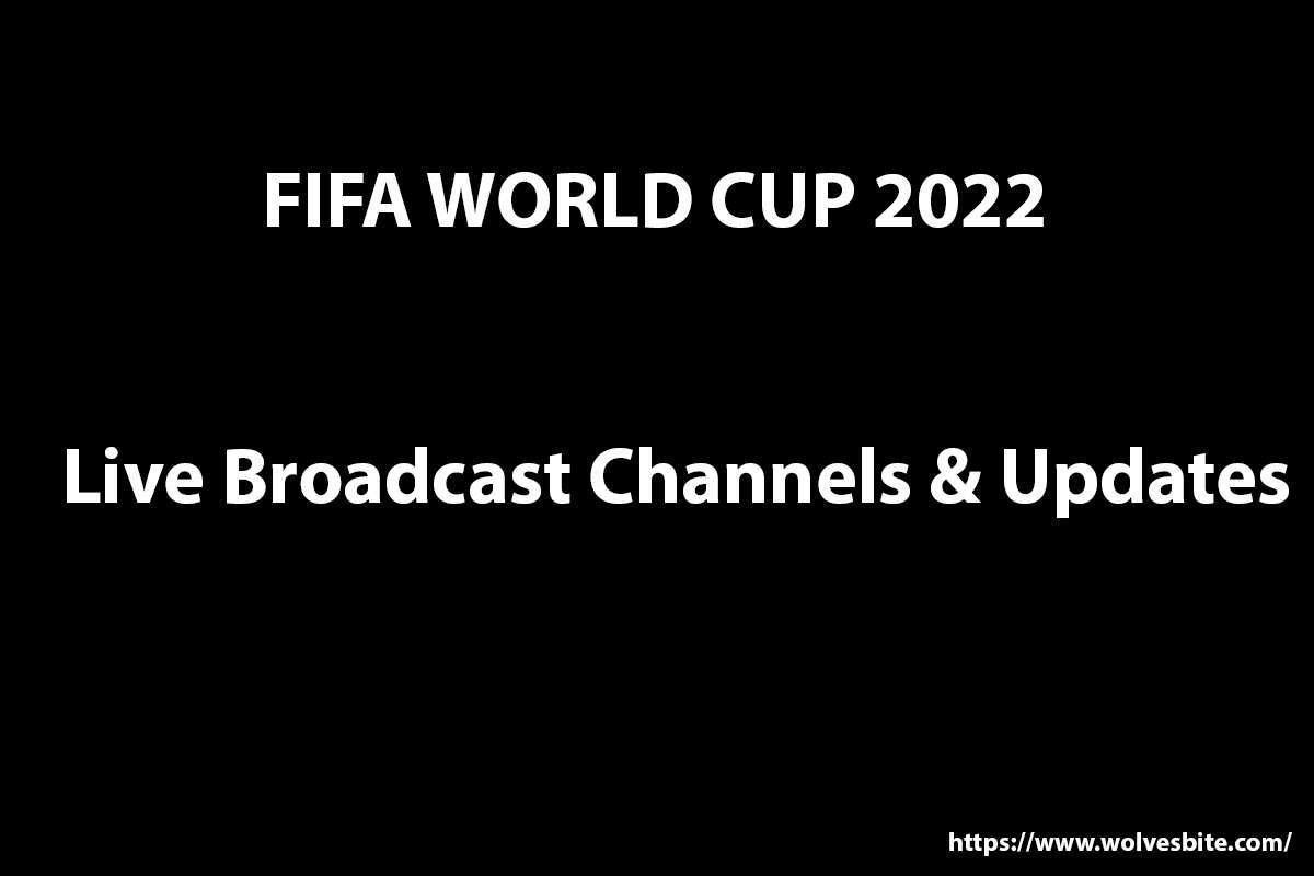 FIFA World Cup 2022 live stream