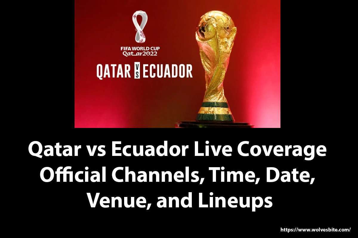 Qatar vs Ecuador live stream