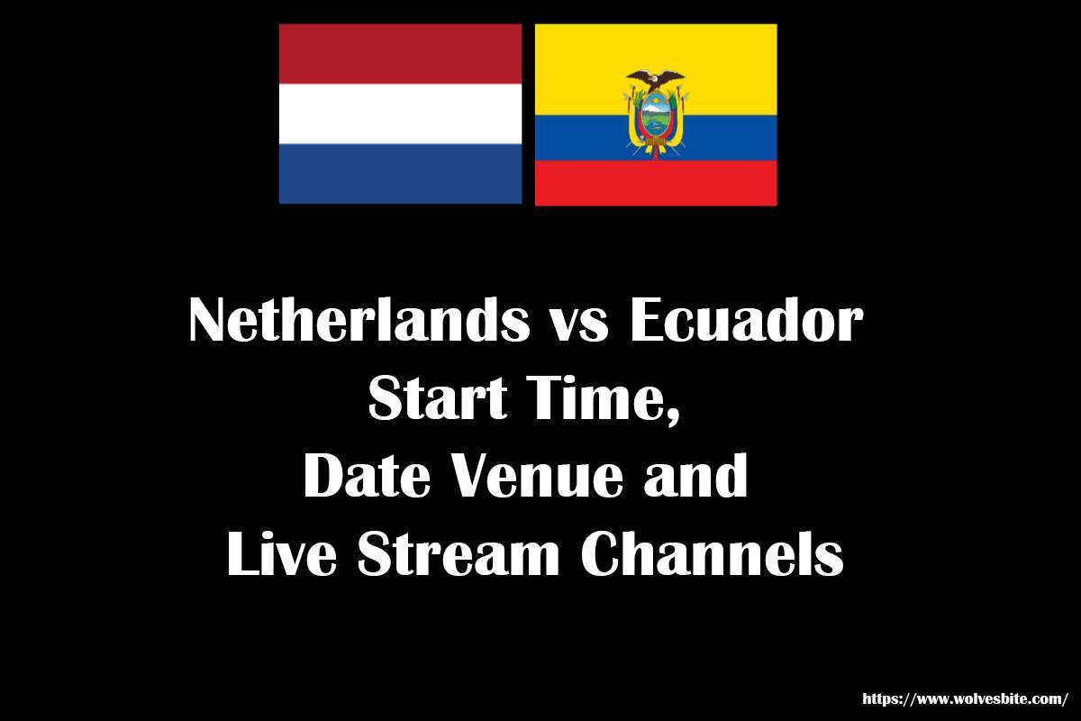 Netherlands vs Ecuador live