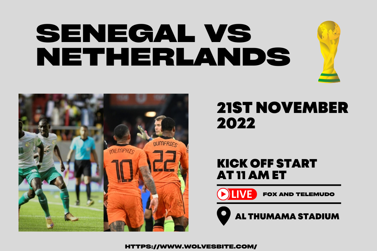 Senegal vs Netherlands live stream