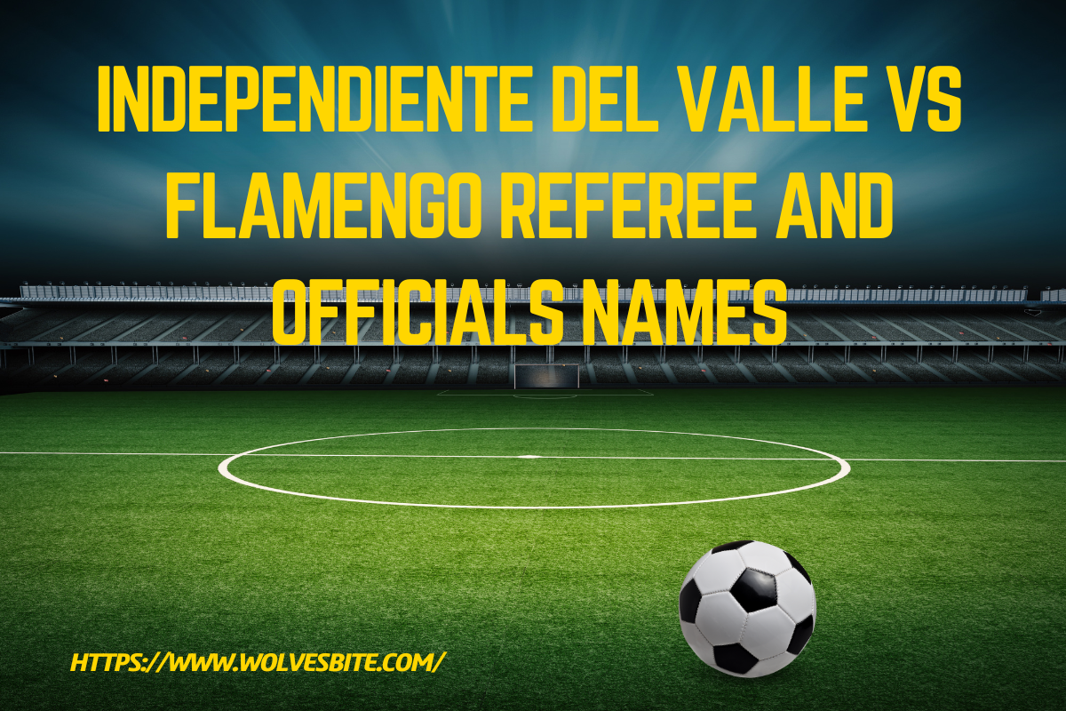 Independiente Del Valle vs Flamengo Referee